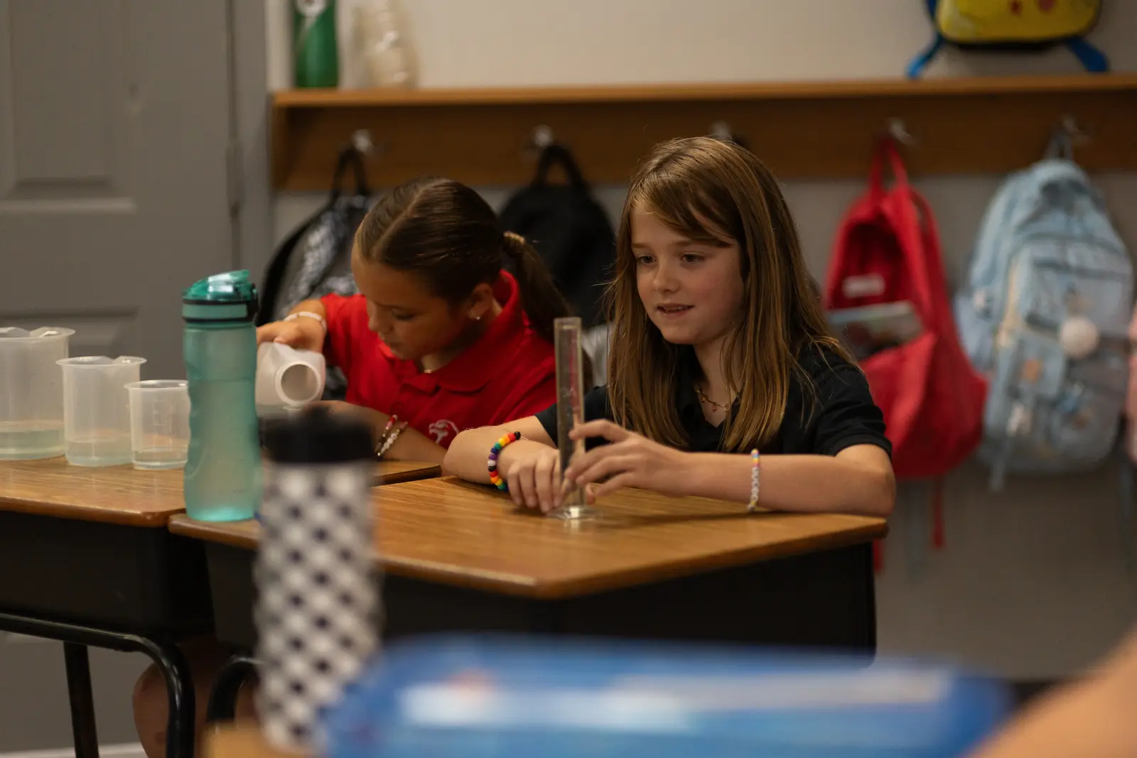 Intellectual growth and critical thinking