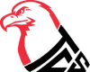 TCS Spirit Logo